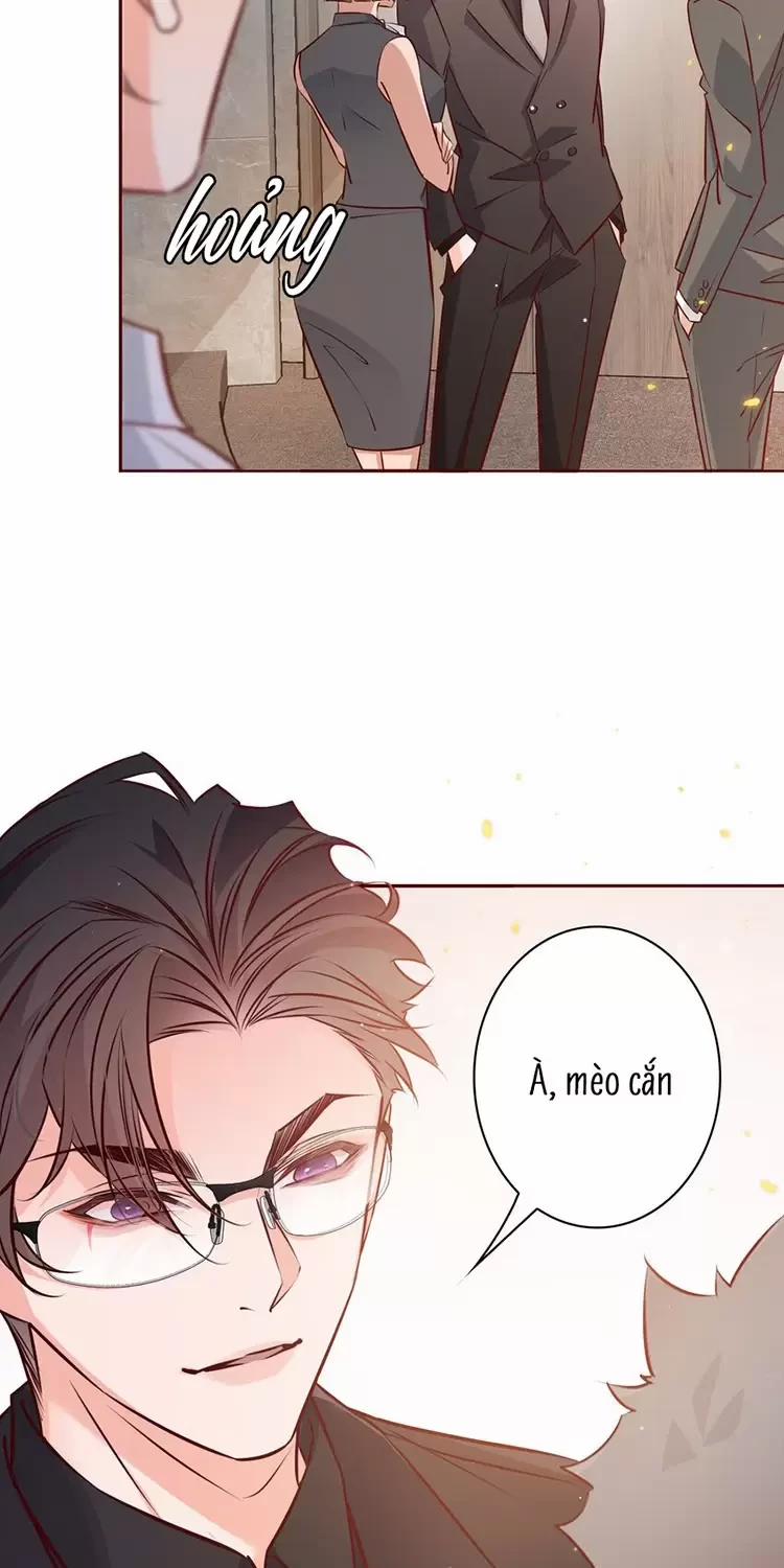 Yêu Anh, Bất Kể Giới Tính 13 trang 15