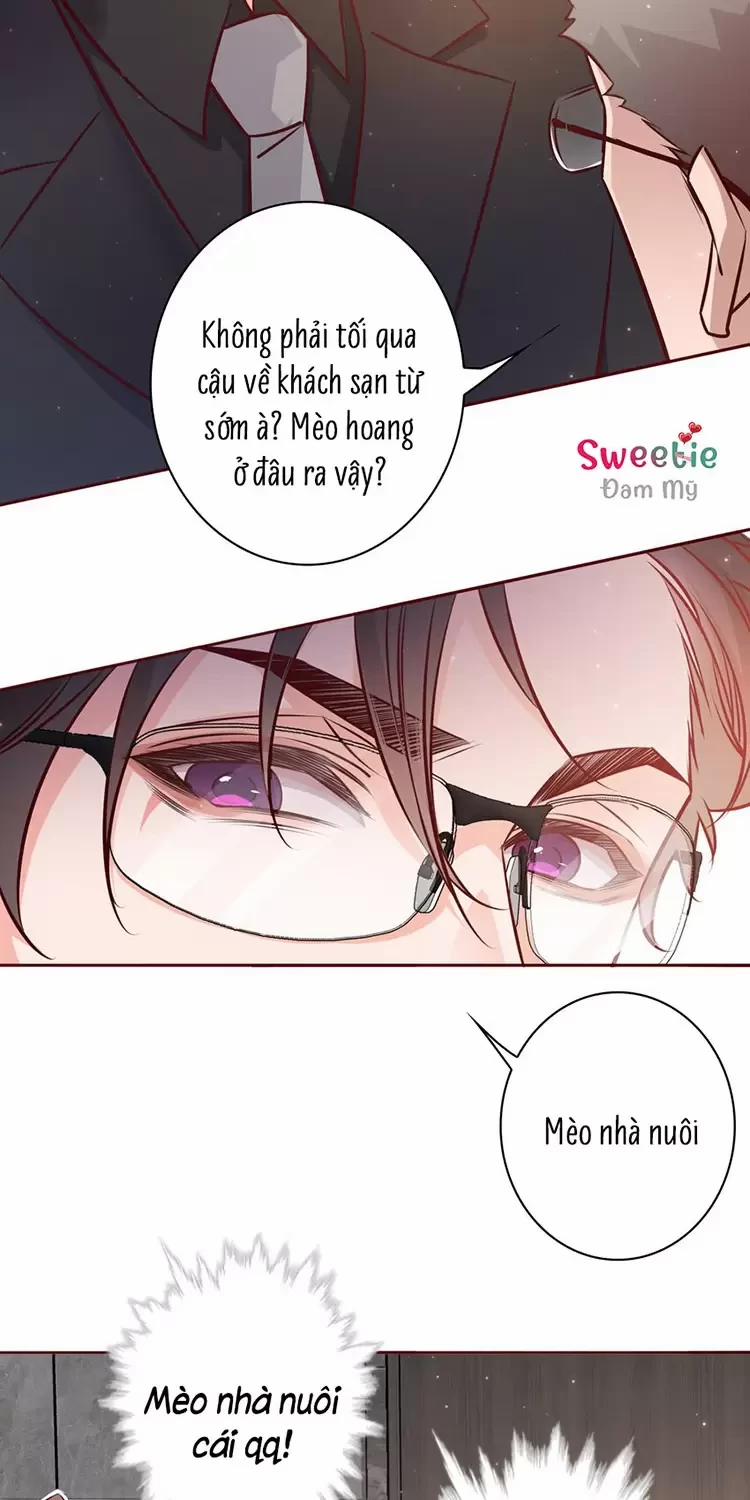 Yêu Anh, Bất Kể Giới Tính 13 trang 16