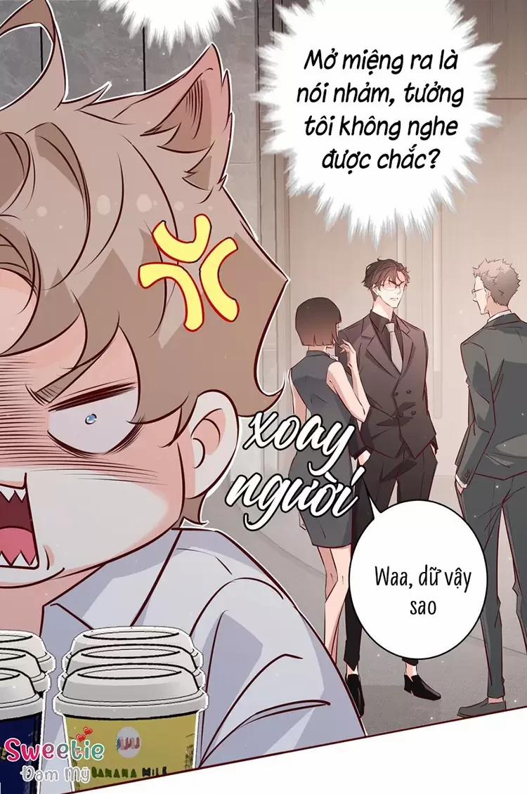 Yêu Anh, Bất Kể Giới Tính 13 trang 17