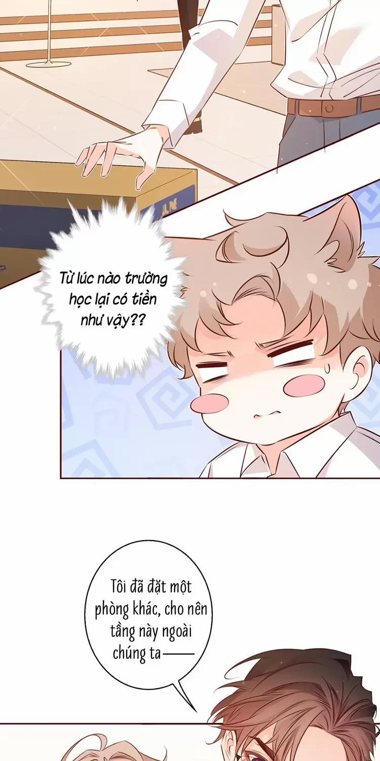Yêu Anh, Bất Kể Giới Tính 14 trang 23