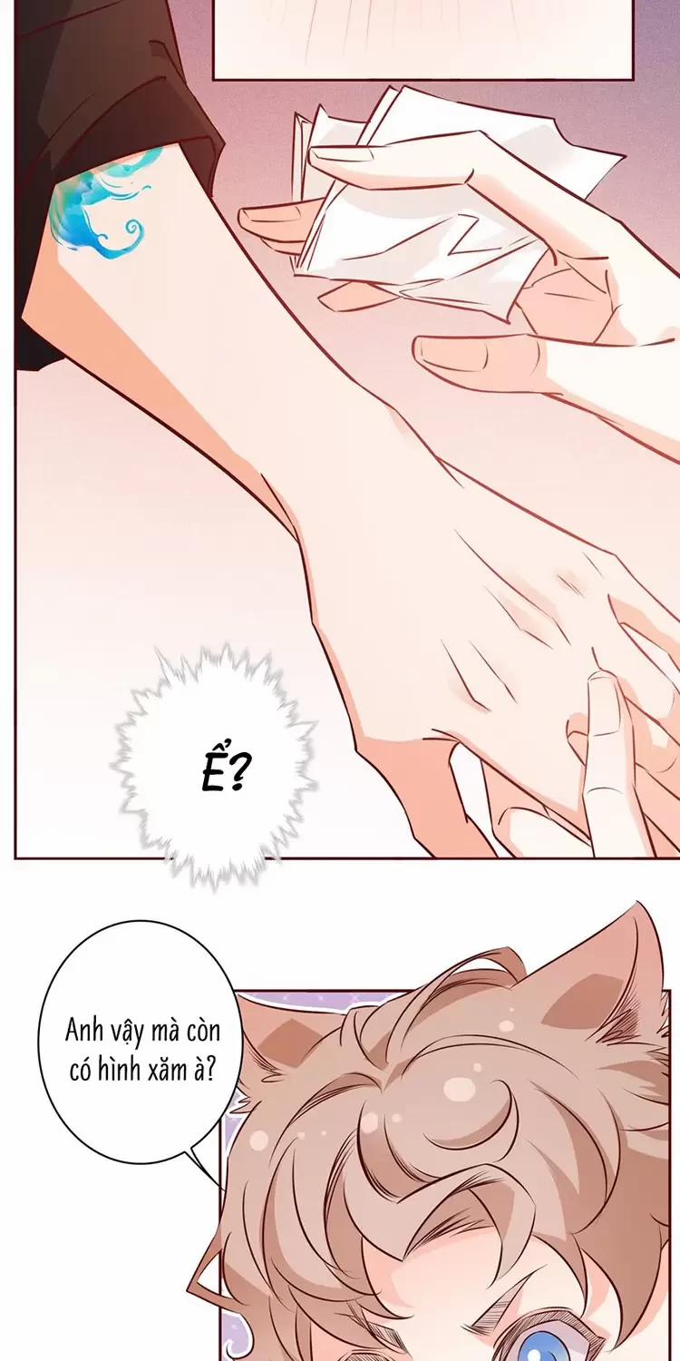Yêu Anh, Bất Kể Giới Tính 15 trang 19