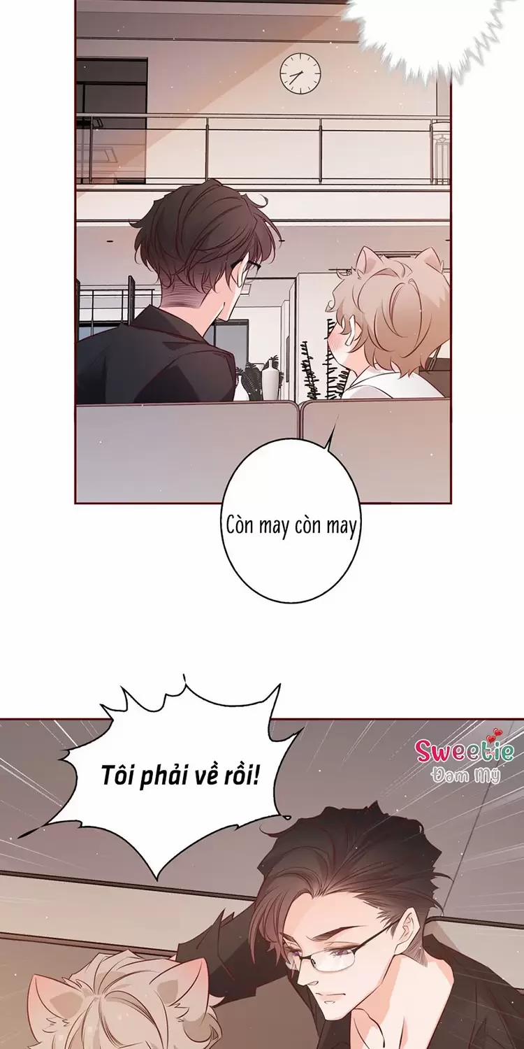 Yêu Anh, Bất Kể Giới Tính 16 trang 15