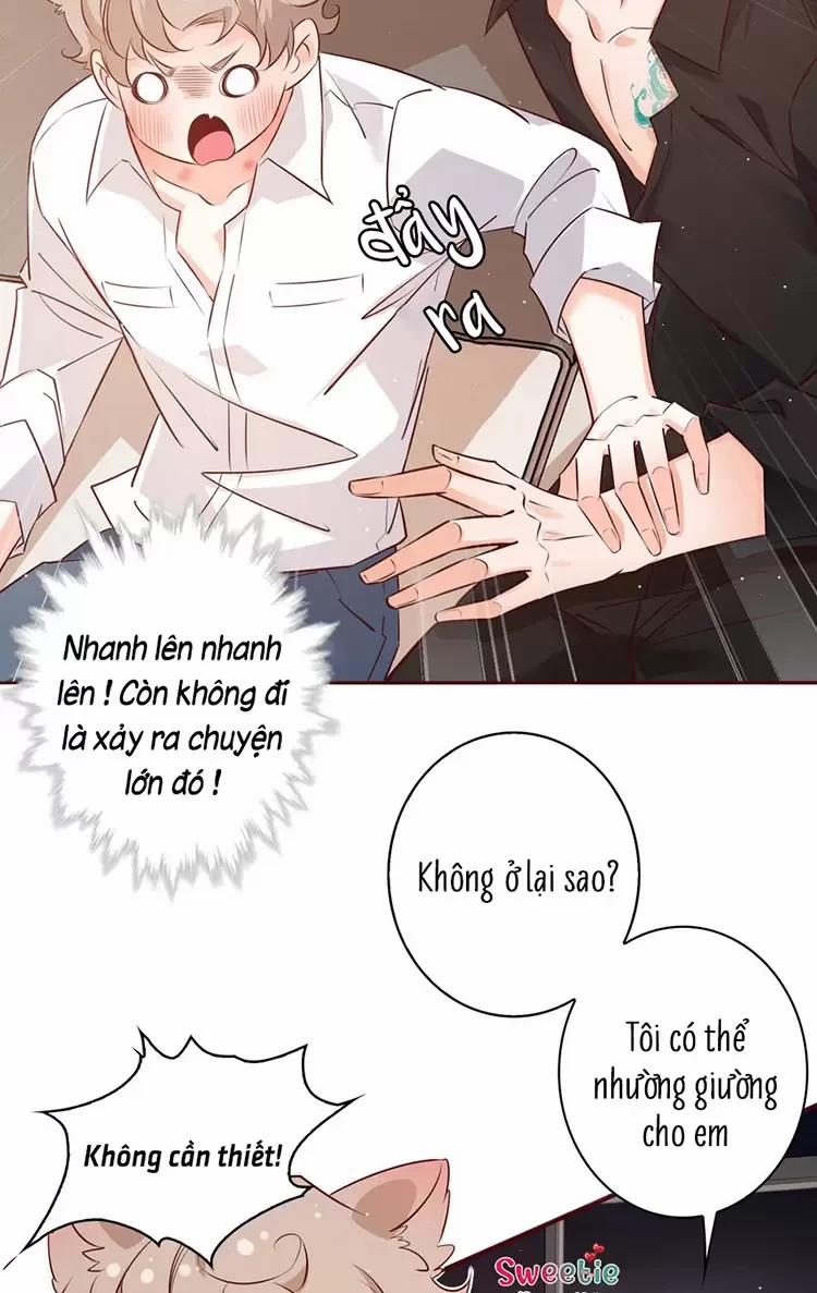 Yêu Anh, Bất Kể Giới Tính 16 trang 16