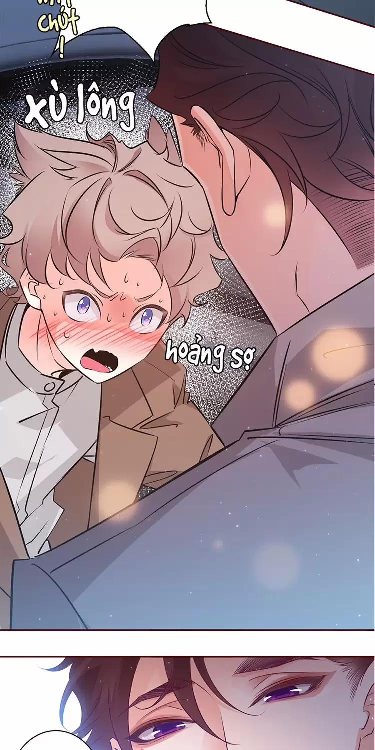 Yêu Anh, Bất Kể Giới Tính 3 trang 5