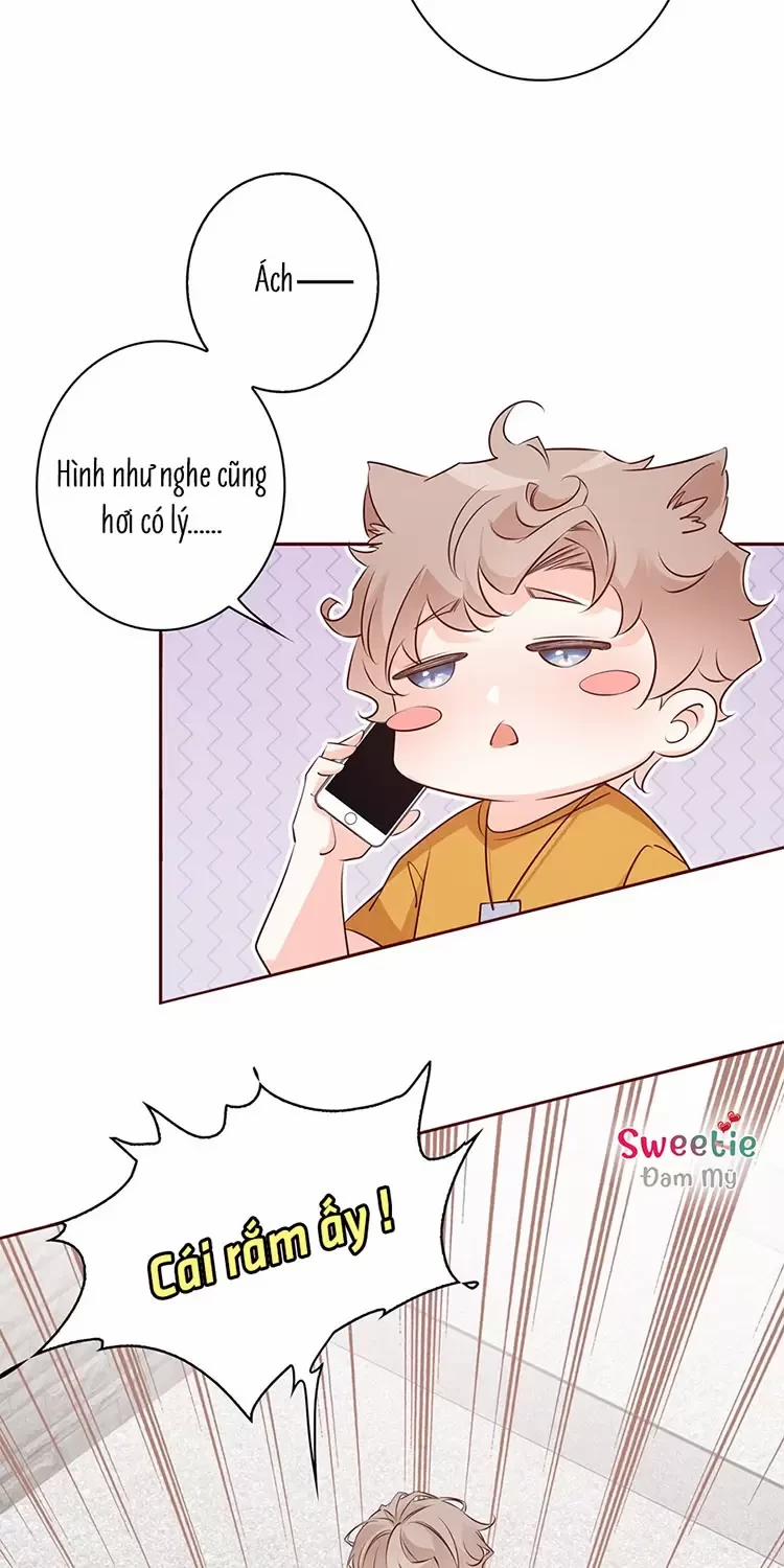 Yêu Anh, Bất Kể Giới Tính 5 trang 13