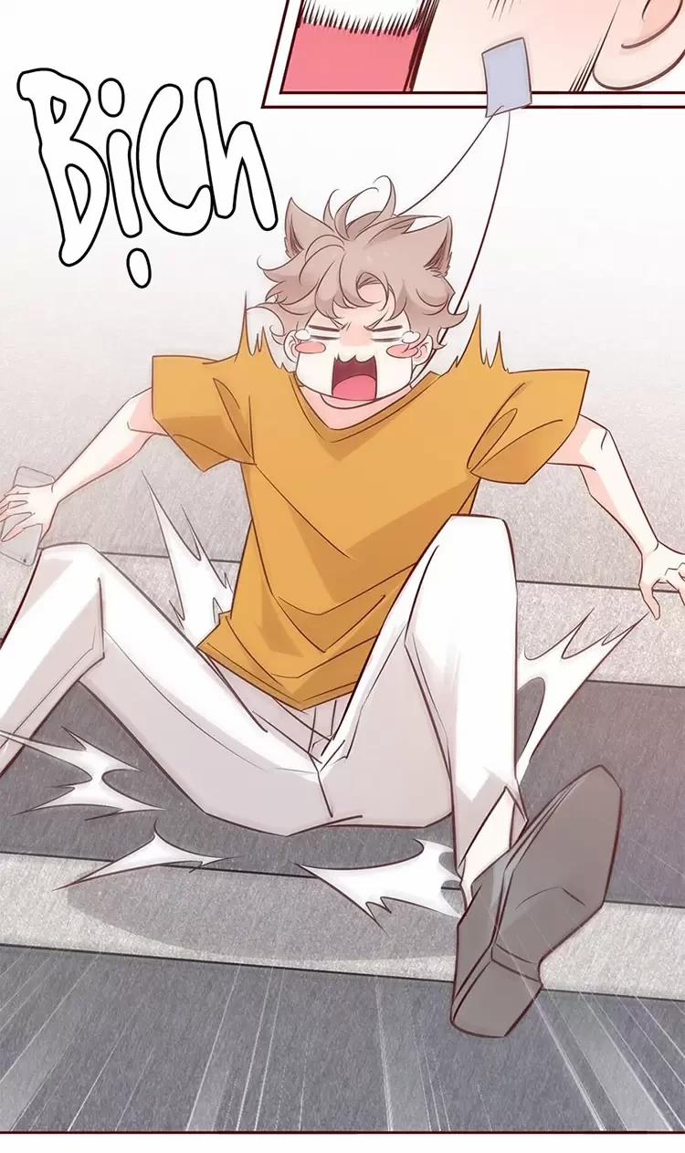 Yêu Anh, Bất Kể Giới Tính 5 trang 22