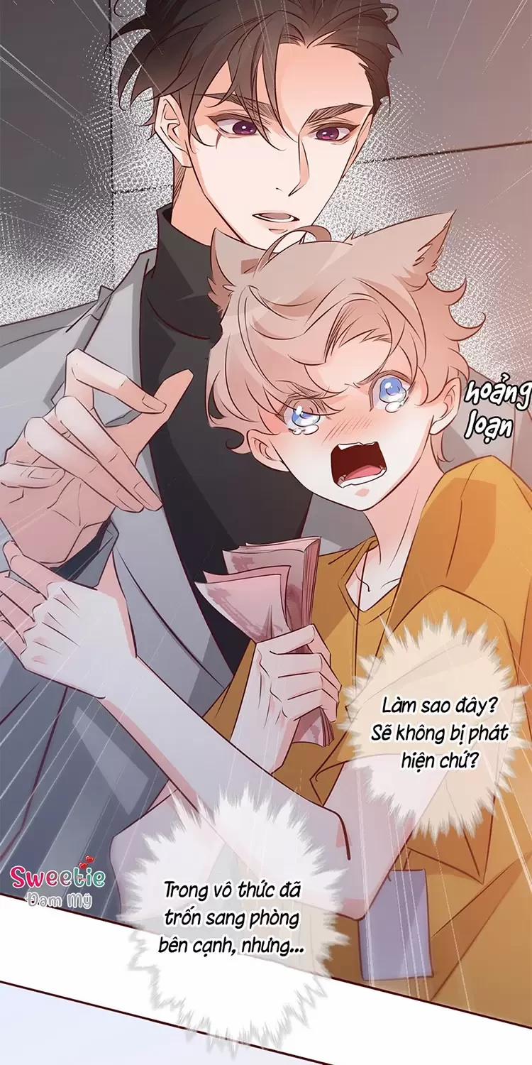 Yêu Anh, Bất Kể Giới Tính 7 trang 17