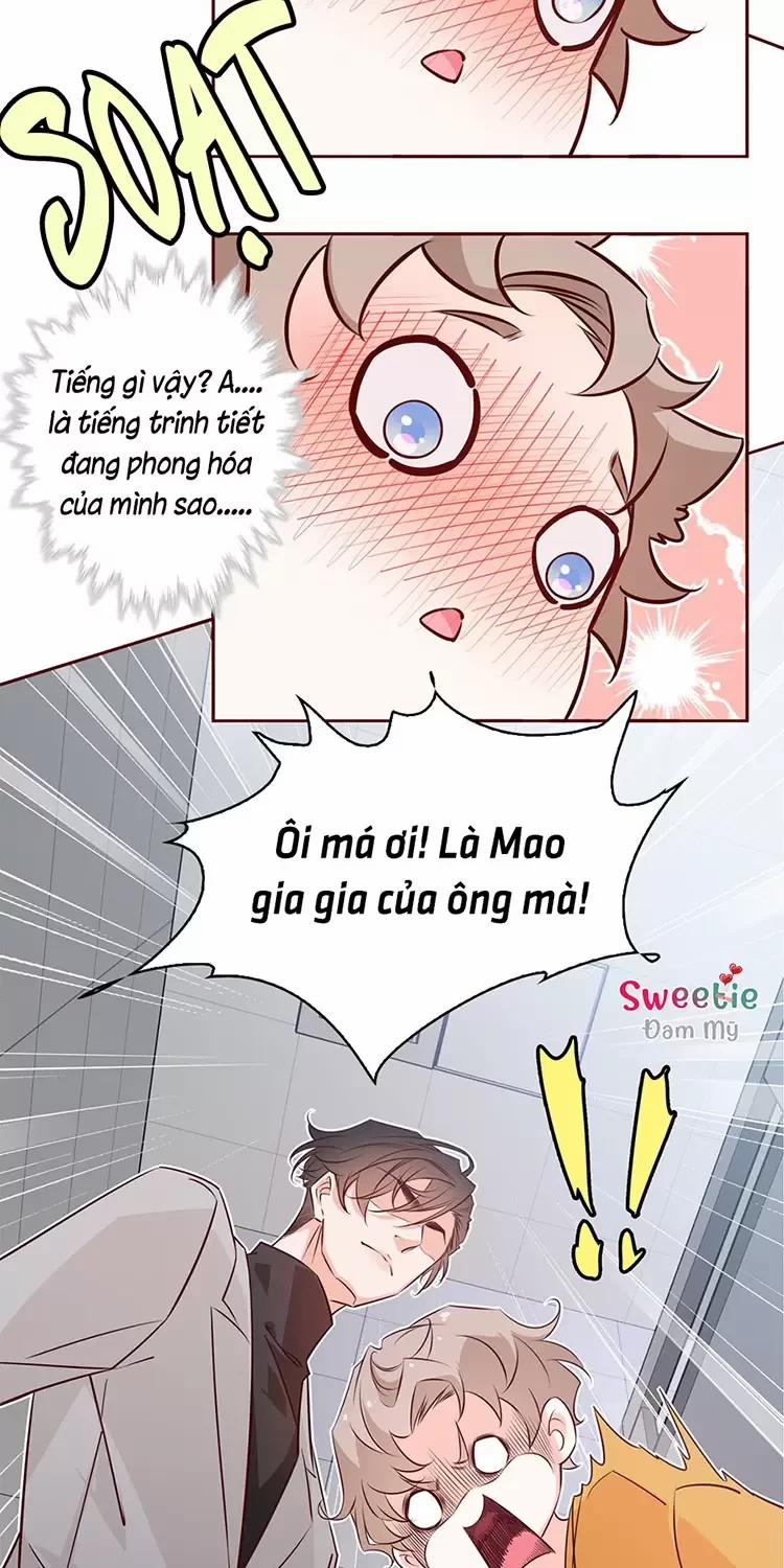 Yêu Anh, Bất Kể Giới Tính 8 trang 12