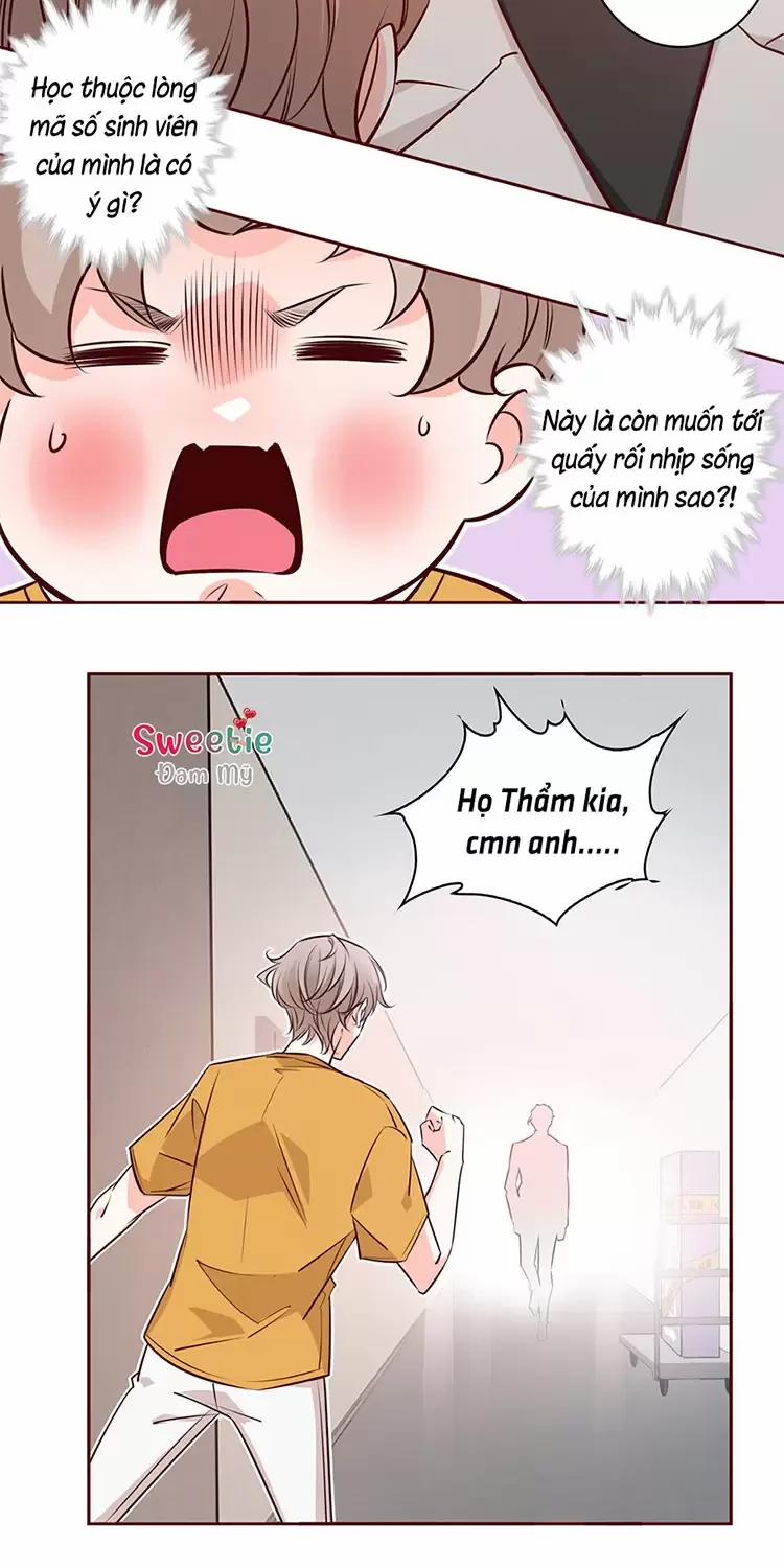 Yêu Anh, Bất Kể Giới Tính 8 trang 23