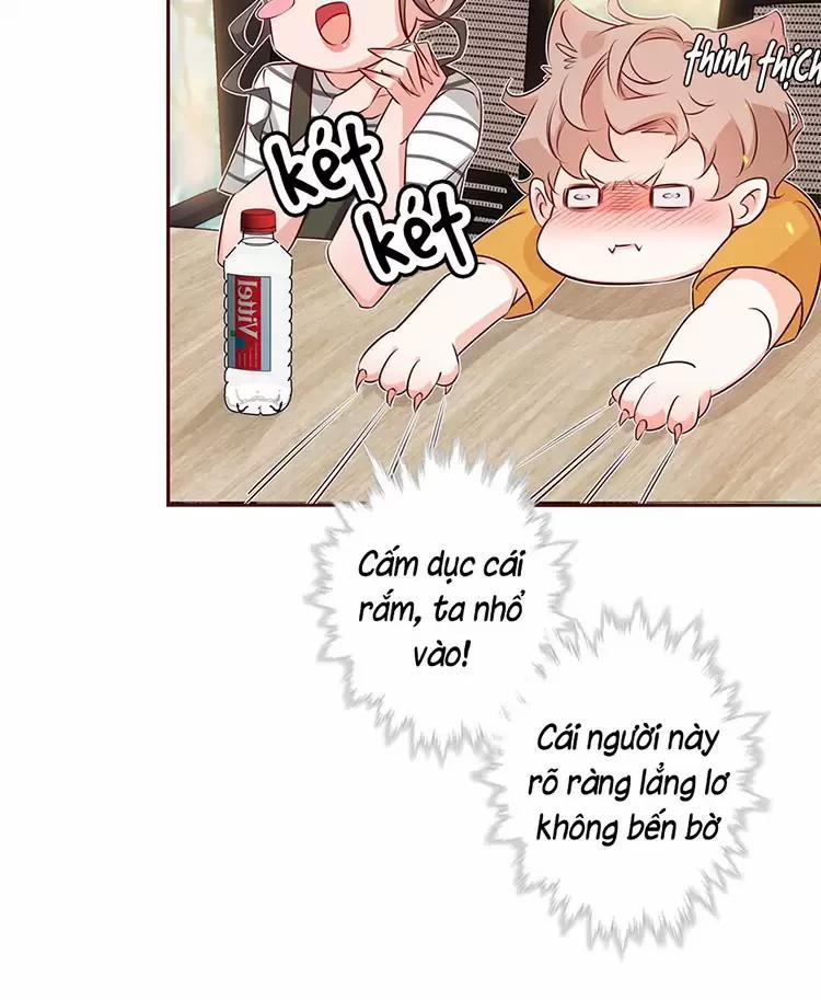 Yêu Anh, Bất Kể Giới Tính 9 trang 16