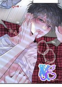 Đọc truyện tranh Yêu Em Thêm Lần Nữa (Love Me Again)