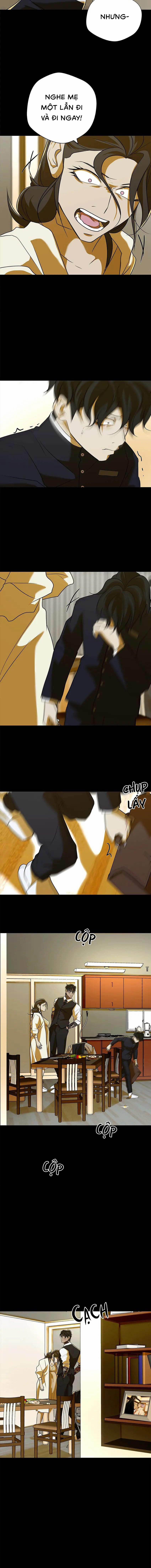 Yêu Phải Kẻ Sát Nhân Bóng Rổ 29 trang 11