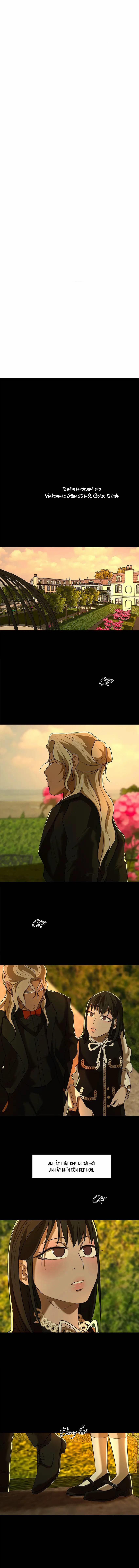 Yêu Phải Kẻ Sát Nhân Bóng Rổ 41 trang 0