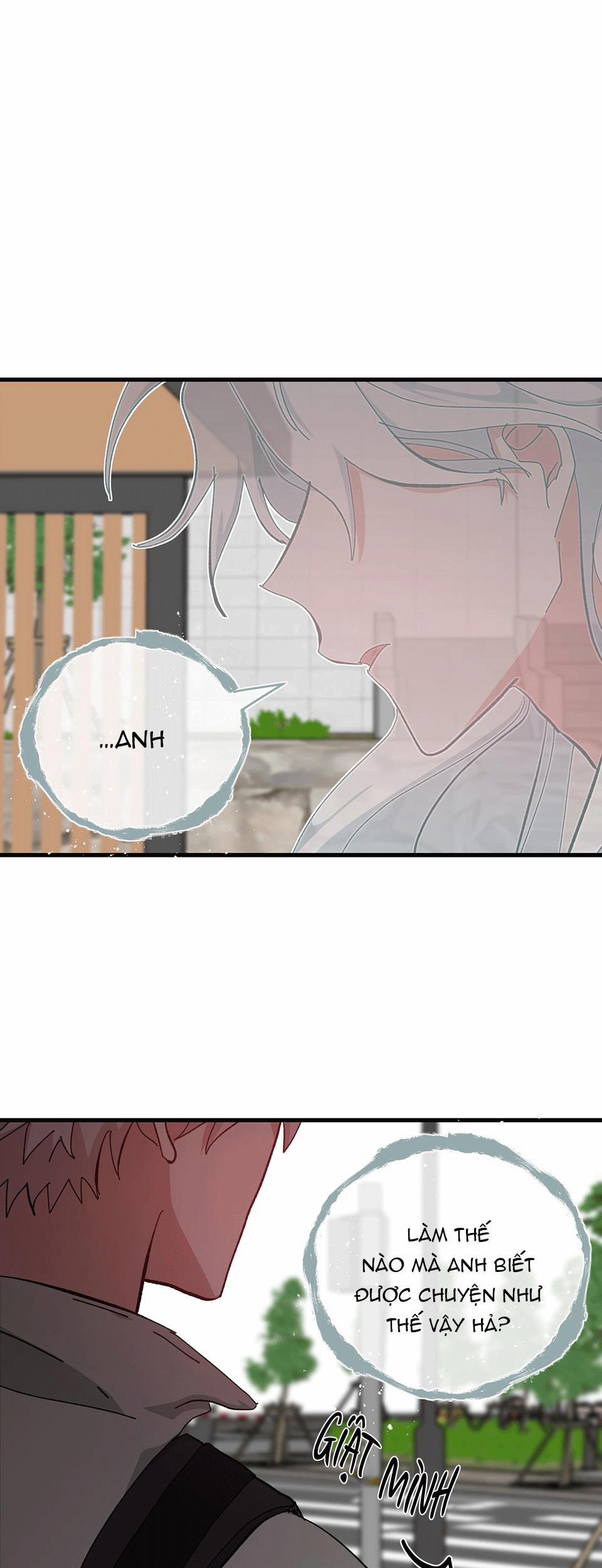 Yêu Tôi Đi, Thần Hộ Mệnh 37 trang 37