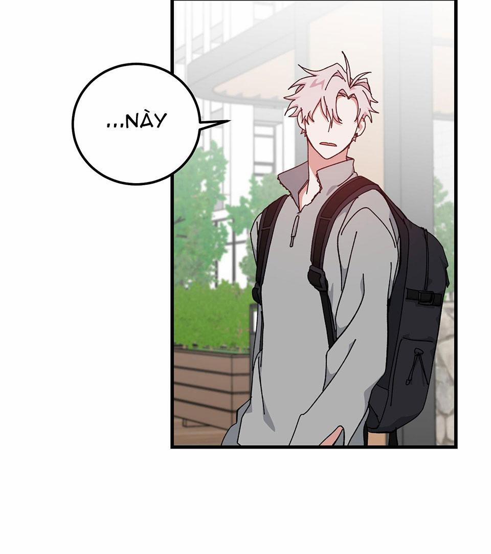 Yêu Tôi Đi, Thần Hộ Mệnh 38 trang 15