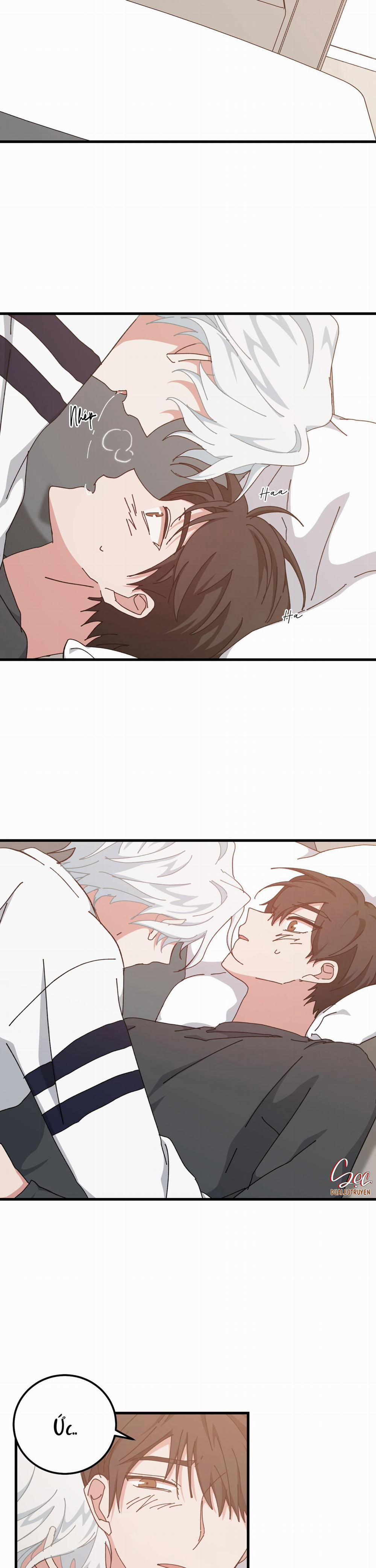 Yêu Tôi Đi, Thần Hộ Mệnh 40 trang 17