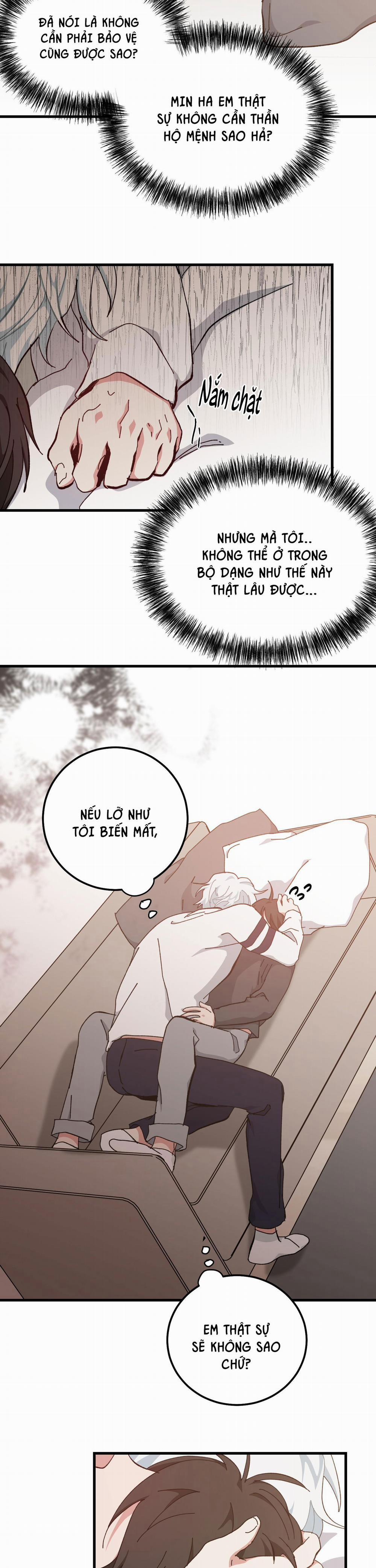 Yêu Tôi Đi, Thần Hộ Mệnh 40 trang 19