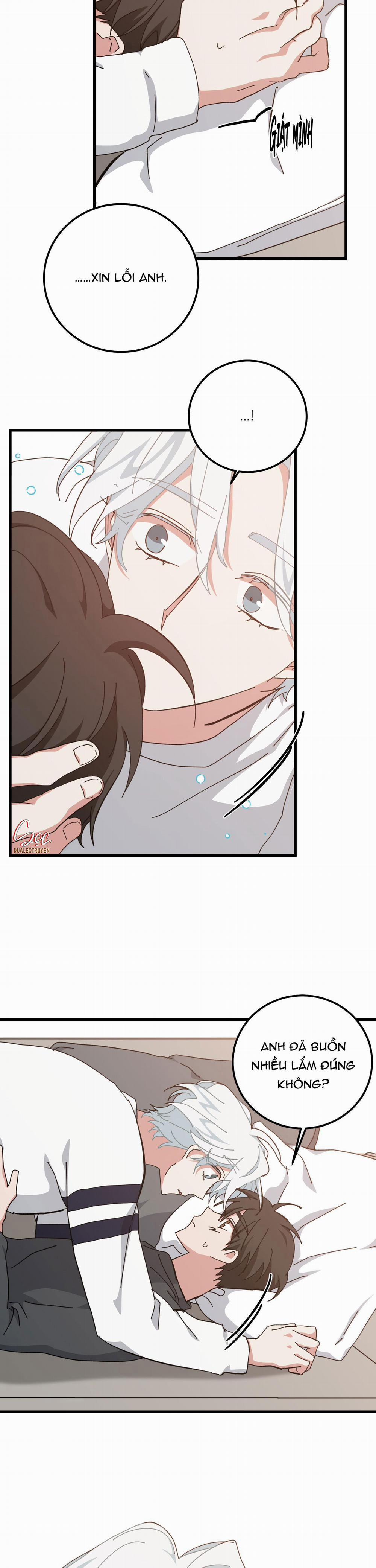 Yêu Tôi Đi, Thần Hộ Mệnh 40 trang 20