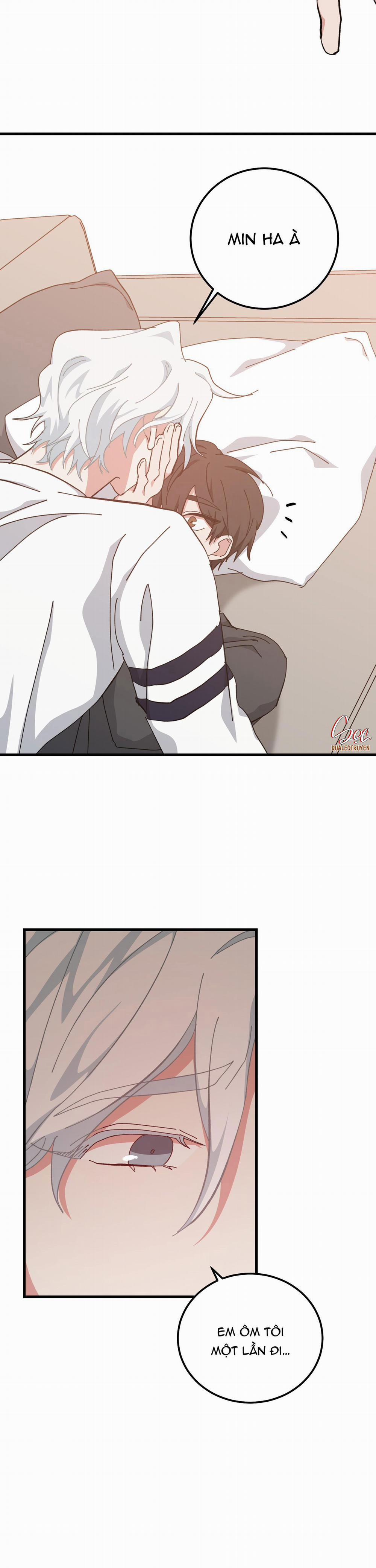 Yêu Tôi Đi, Thần Hộ Mệnh 40 trang 23