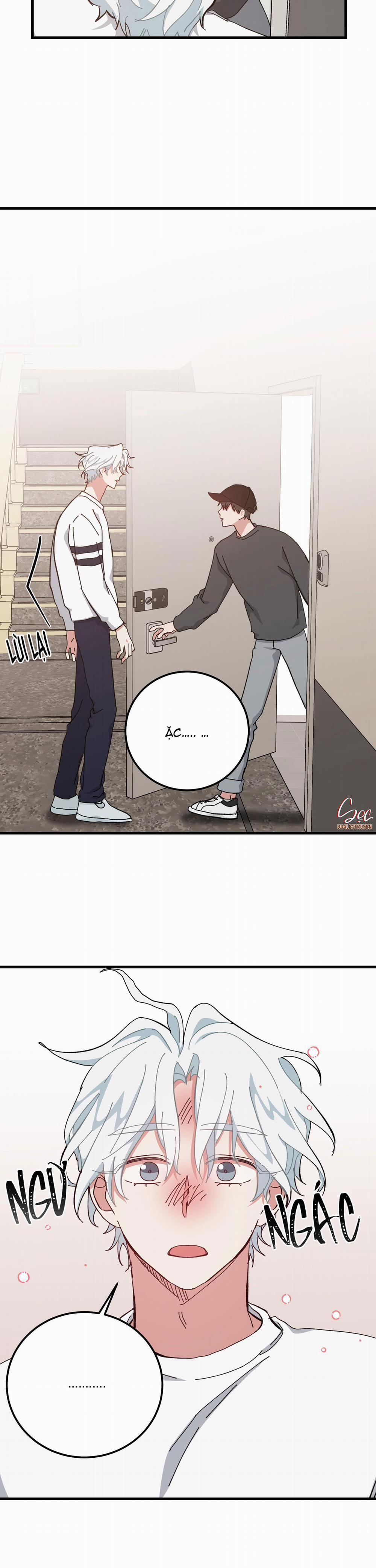 Yêu Tôi Đi, Thần Hộ Mệnh 40 trang 5