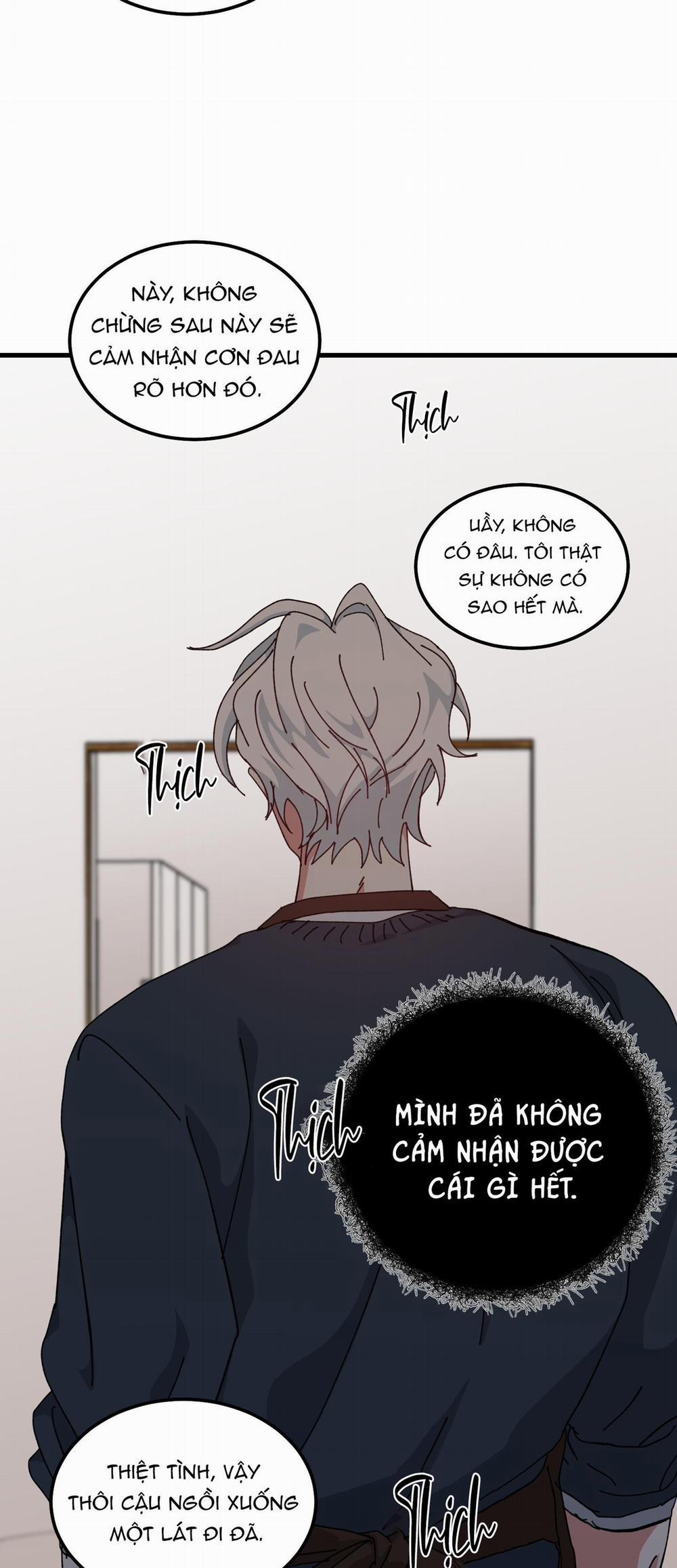 Yêu Tôi Đi, Thần Hộ Mệnh 41 trang 43