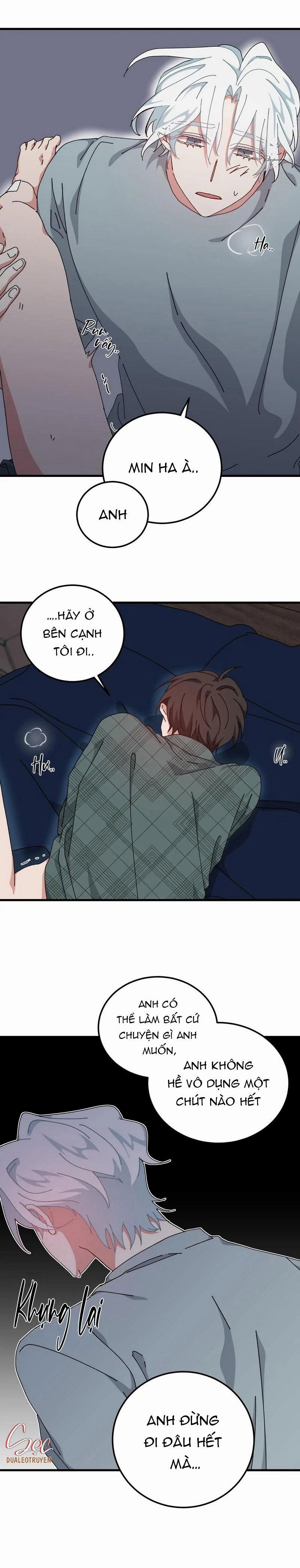 Yêu Tôi Đi, Thần Hộ Mệnh 43 trang 14