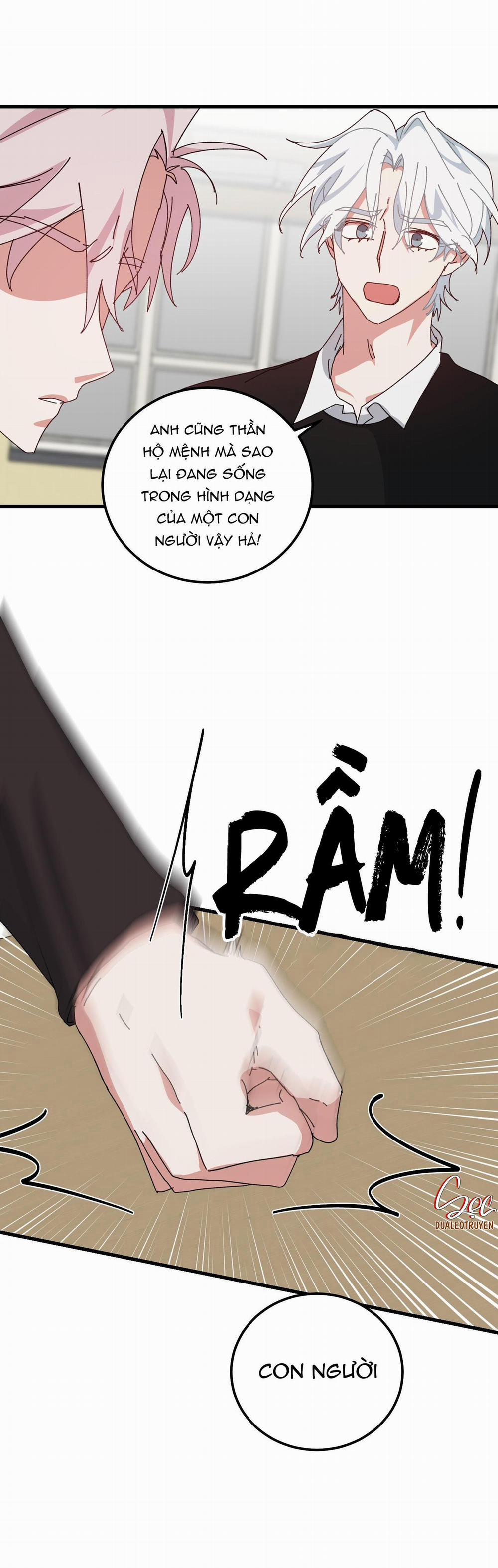 Yêu Tôi Đi, Thần Hộ Mệnh 46 trang 42