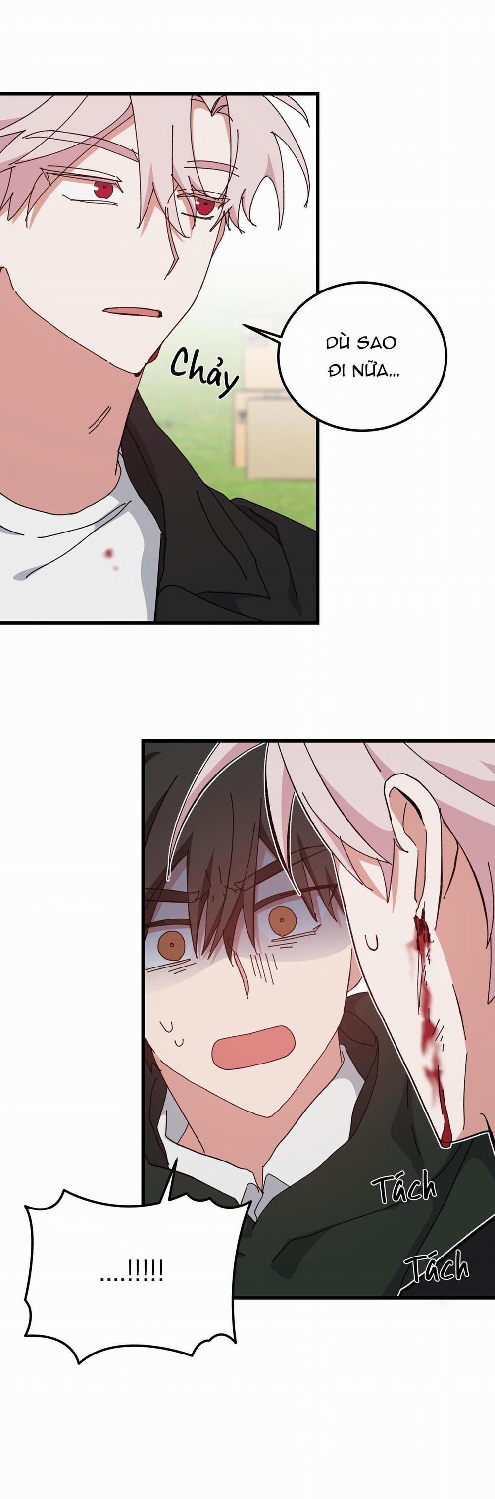 Yêu Tôi Đi, Thần Hộ Mệnh 48 trang 13