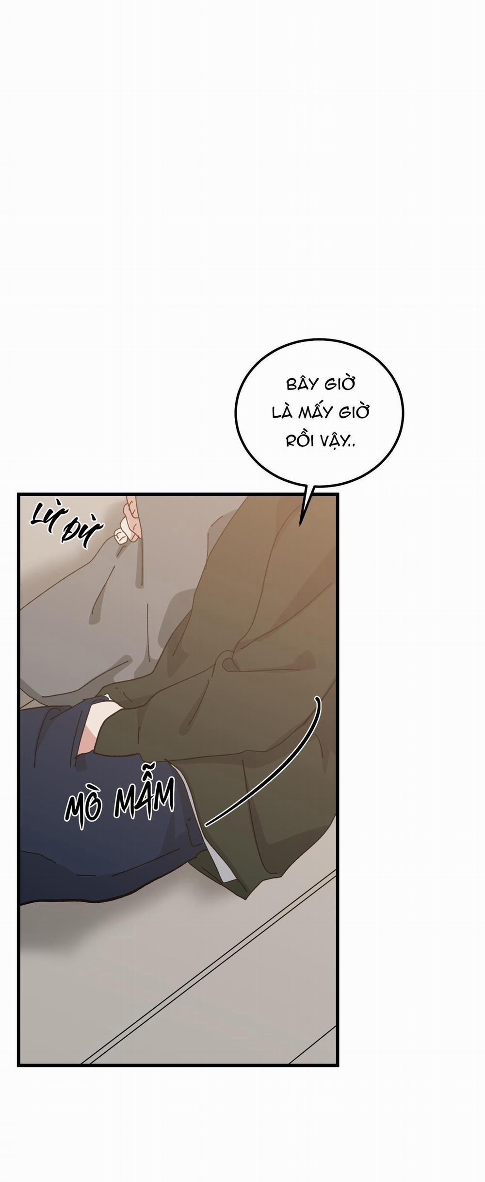 Yêu Tôi Đi, Thần Hộ Mệnh 50 trang 5