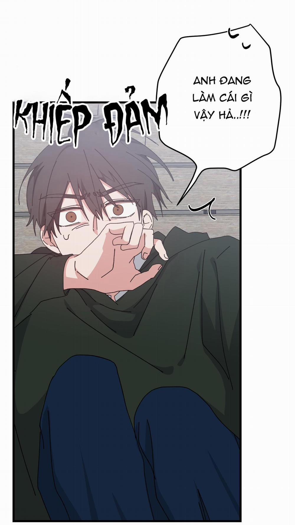 Yêu Tôi Đi, Thần Hộ Mệnh 51 trang 14