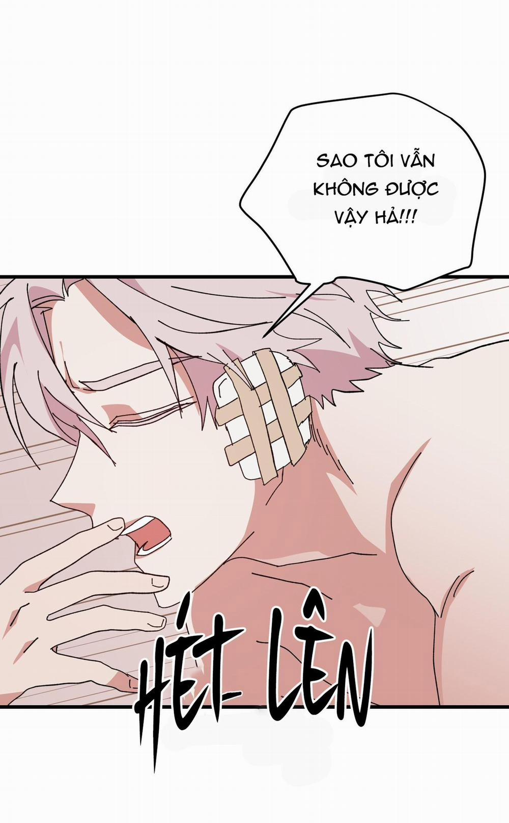 Yêu Tôi Đi, Thần Hộ Mệnh 51 trang 18