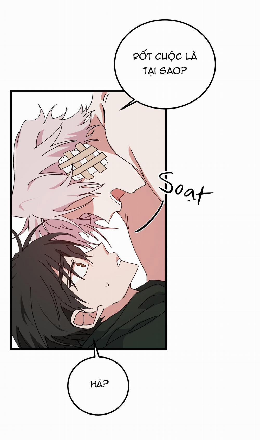 Yêu Tôi Đi, Thần Hộ Mệnh 51 trang 6