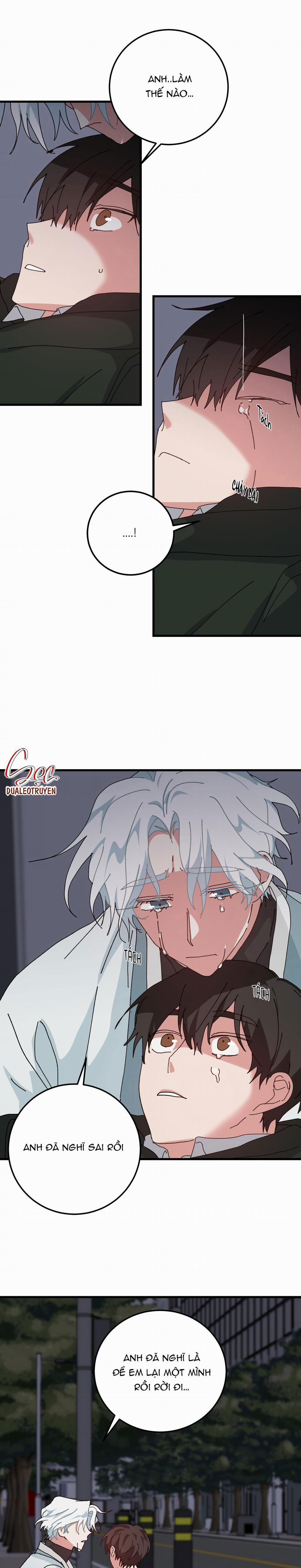 Yêu Tôi Đi, Thần Hộ Mệnh 56 trang 1