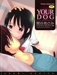 Đọc truyện tranh Your Dog