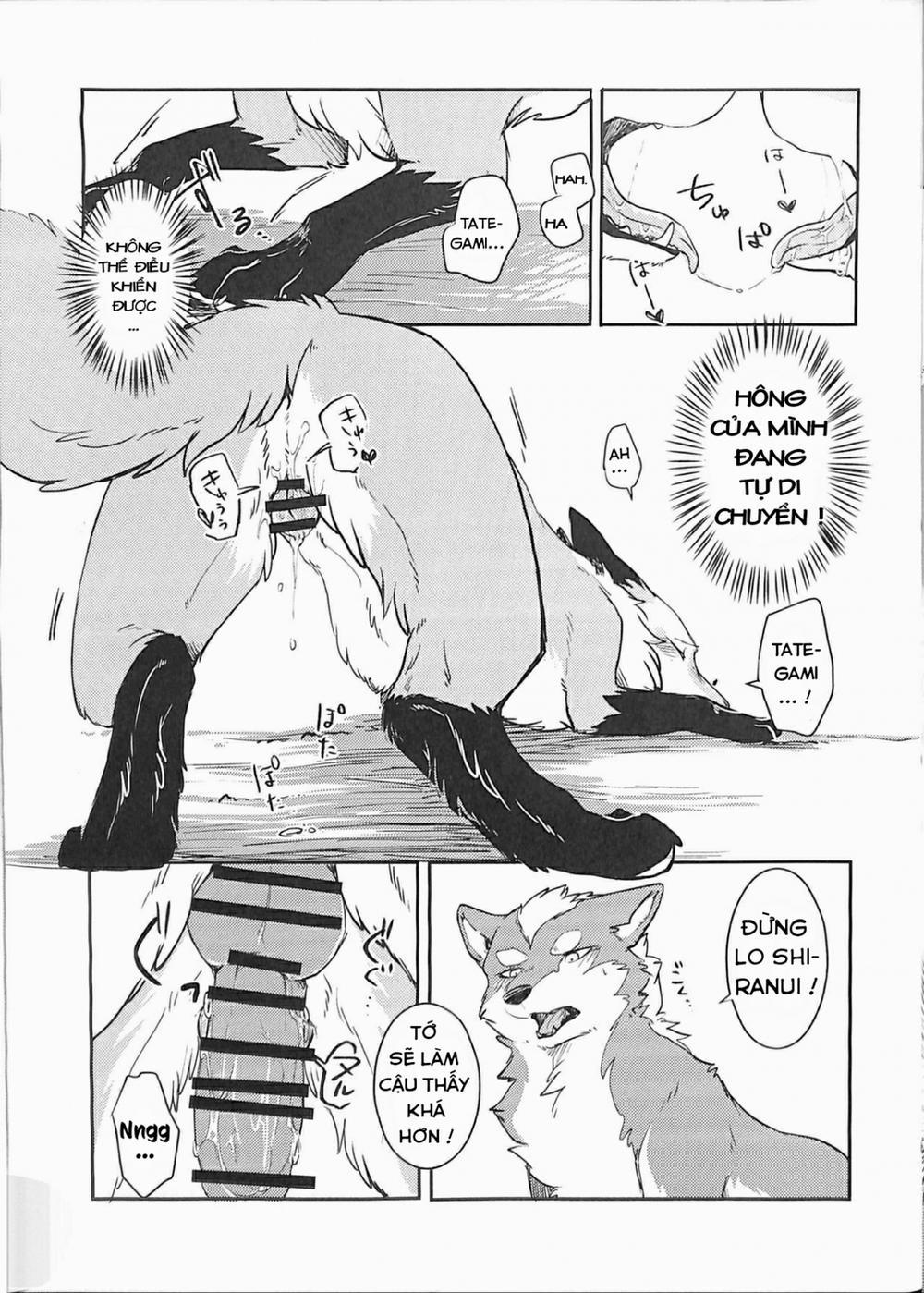 Yume Utsutsu Lovage Oneshot trang 16