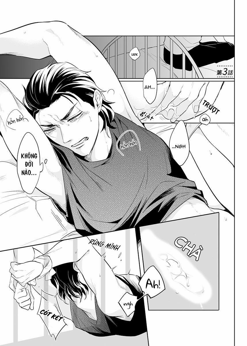 Zettai, Fukujuu Meirei 3 trang 0