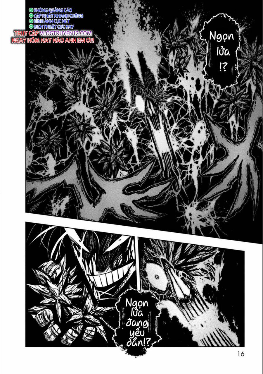 Zingnize 38 trang 11