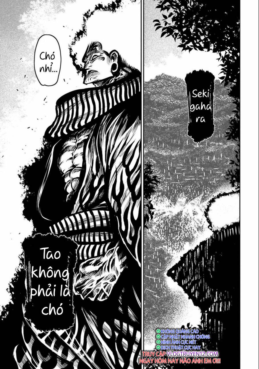 Zingnize 41 trang 29