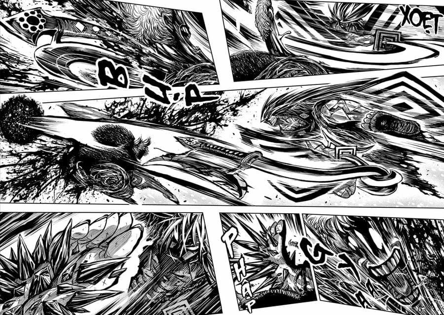 Zingnize 50 trang 11