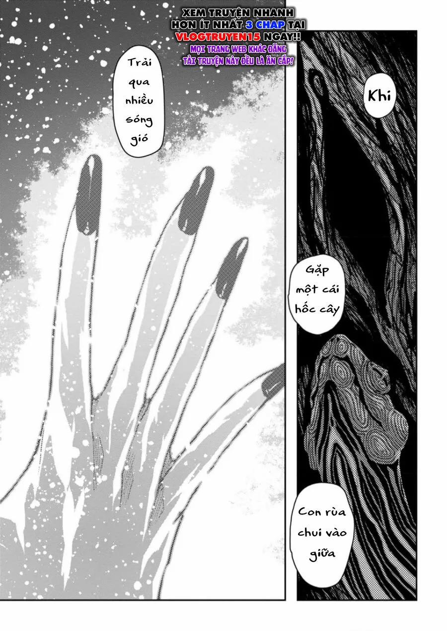 Zingnize 55 trang 14