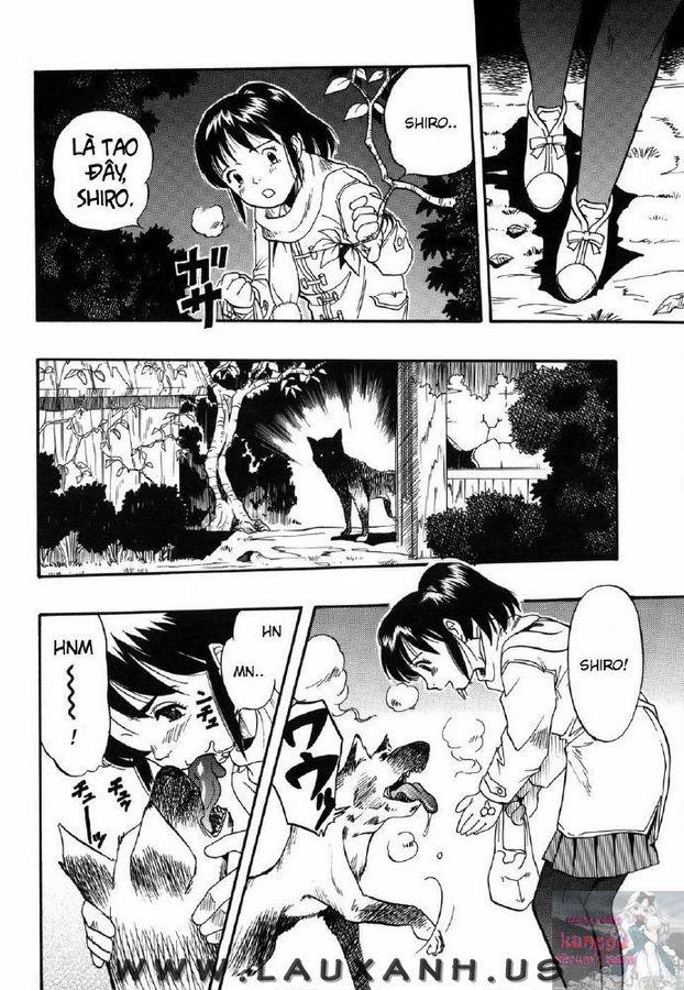 Zoo Syn - Người Sex với thú Bonus 1 trang 2